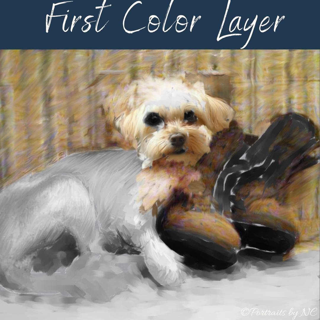 First color layer of dog portrait