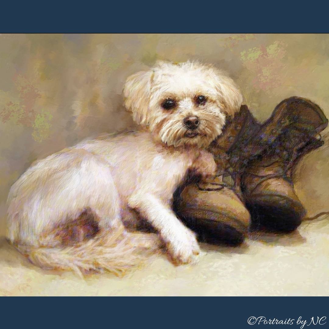 Loyal Boots on the Ground - dog portrait