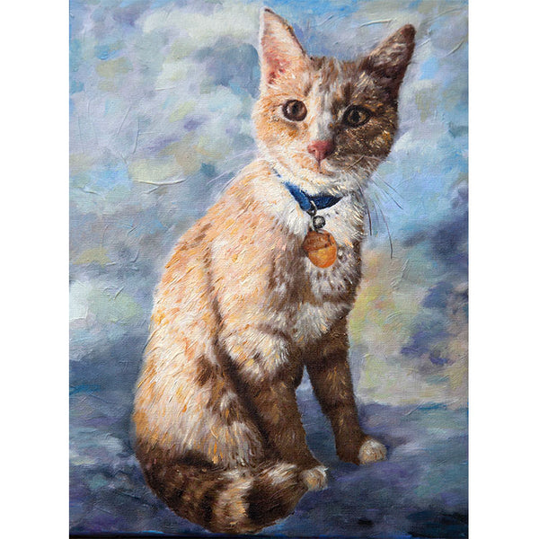 Cat Portrait 647