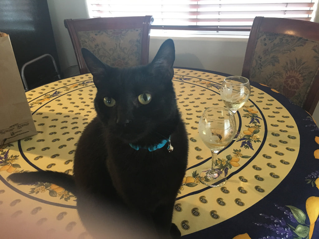 schwarze Katze auf dem Tisch
