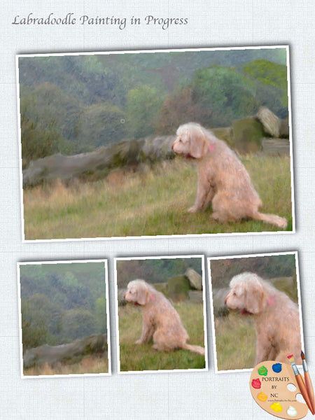 Labradoodle 590 in Bearbeitung