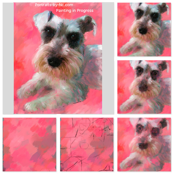 schnauzer dog portrait painting in progress