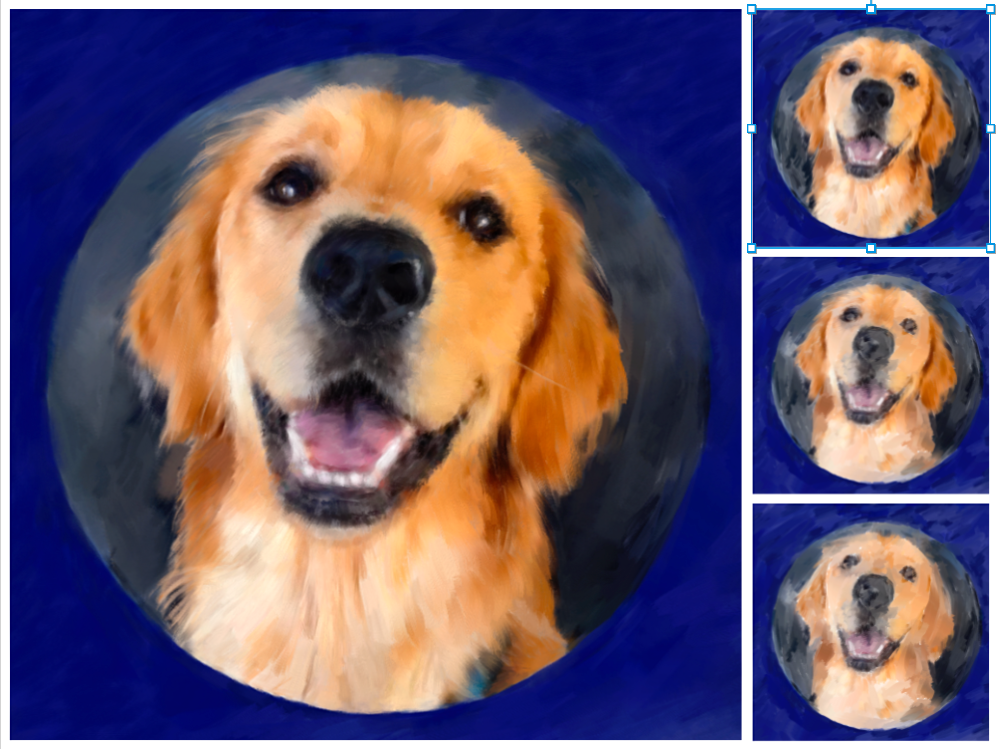 visage de golden retriever