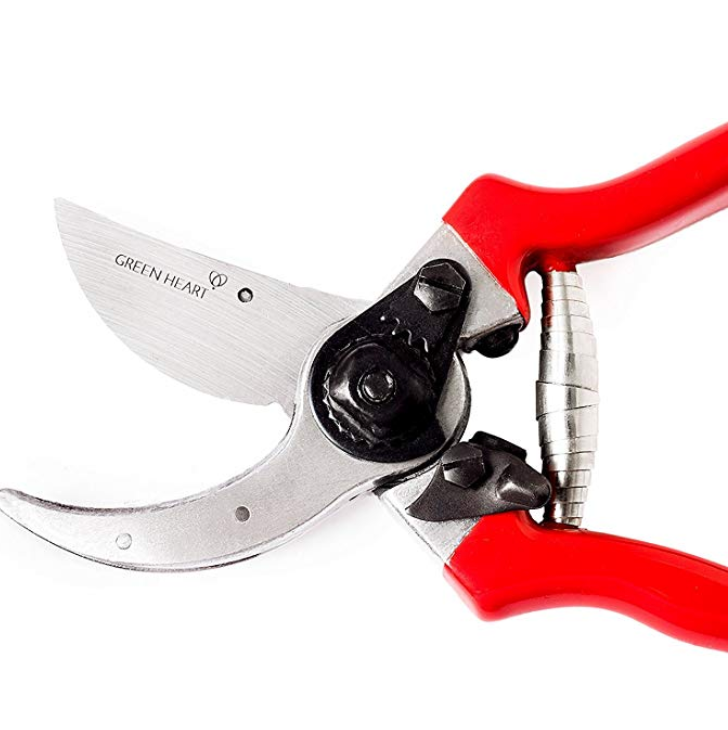 Pruning shears bladed