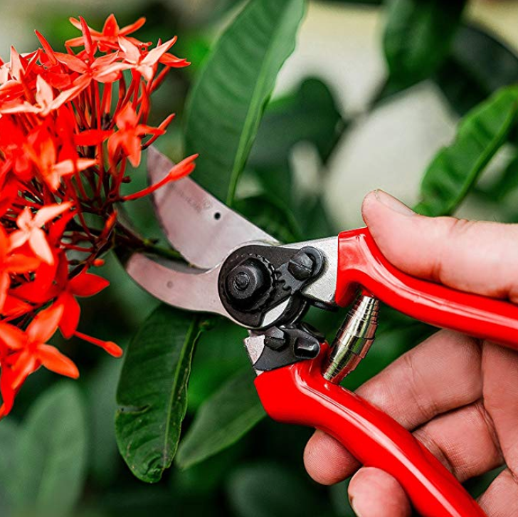 green heart pruning shears