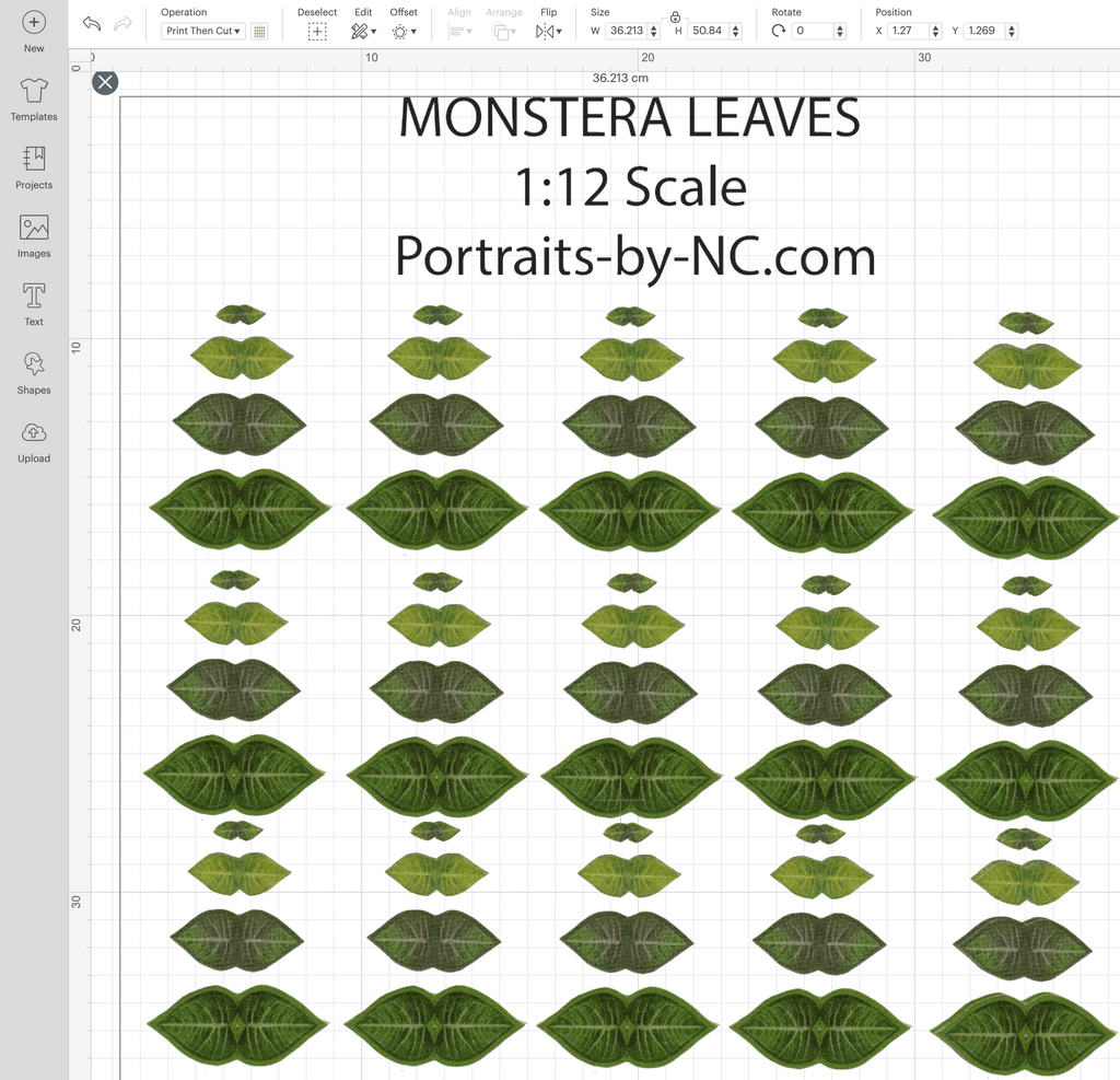 Monstera Plant Cricut file
