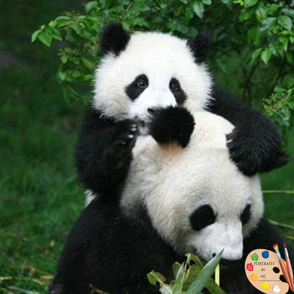 bébé-panda-avec-maman