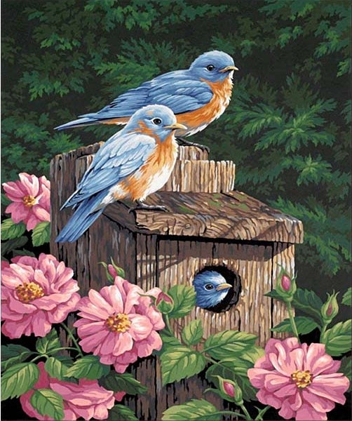 Blue & Orange Birdhouse Canvas DIY Rhinestone Set