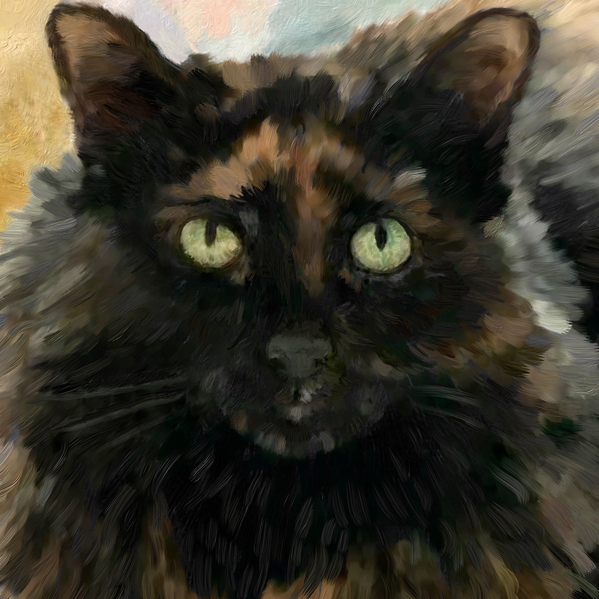 chat calicot noir