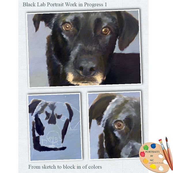 black lab in progress