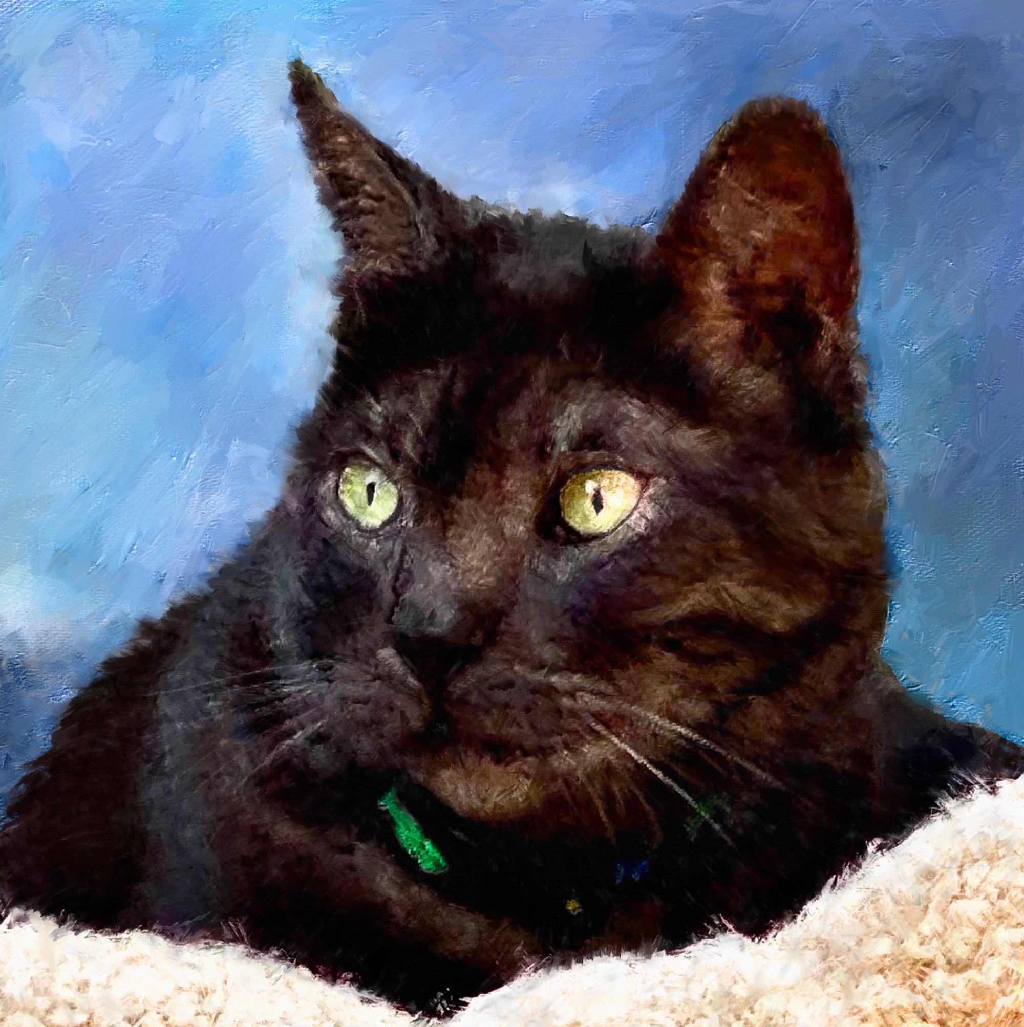 black cat oil portrait