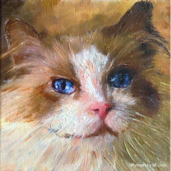 Katzenporträt in Öl