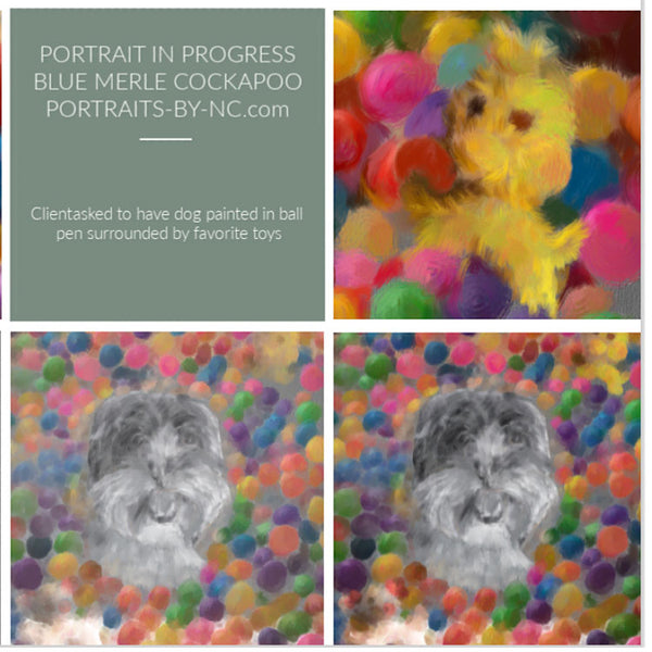 cockapoo painting progression