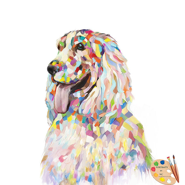 colorful Cockerspaniel