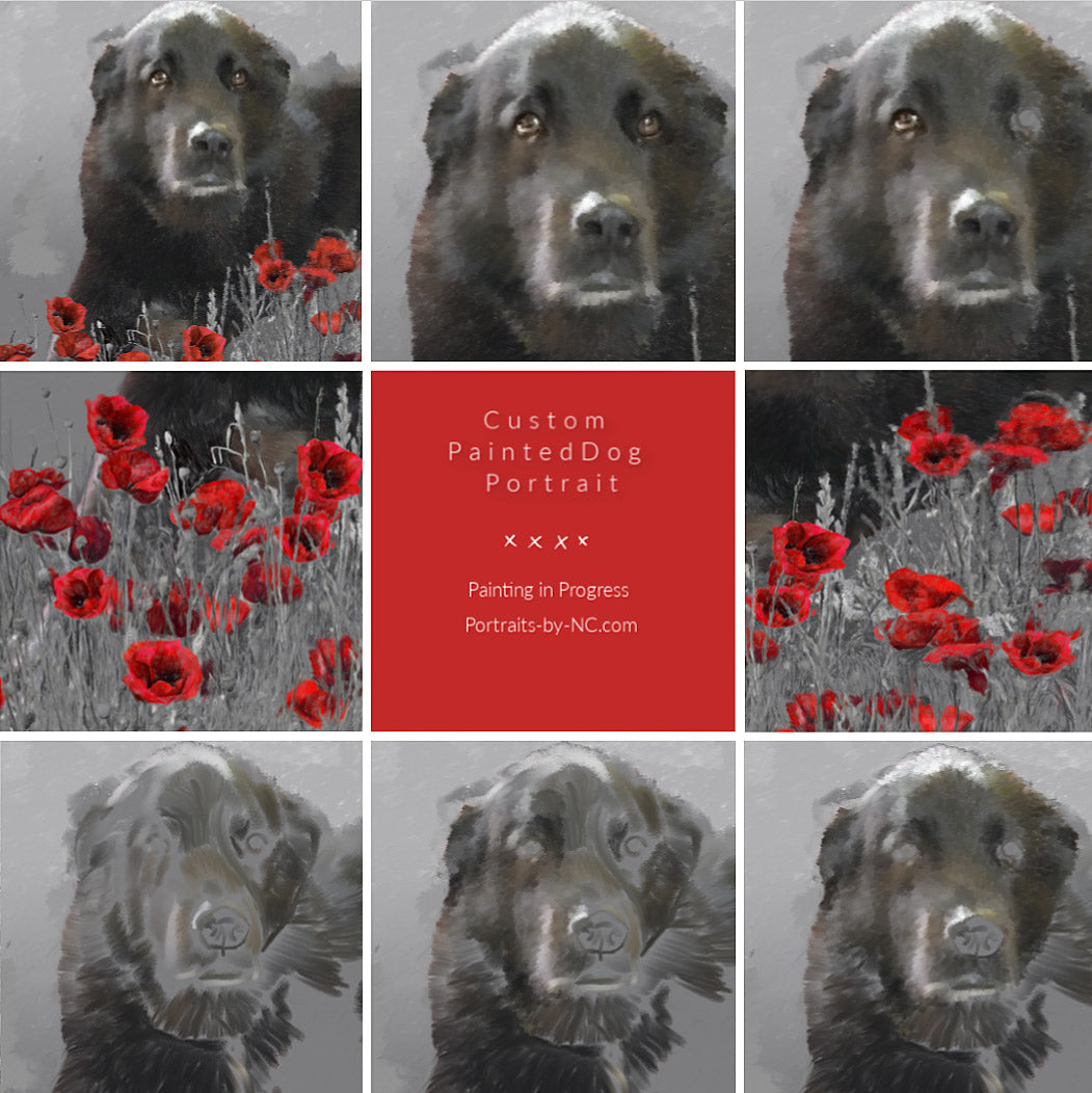 dog portrait with poppies