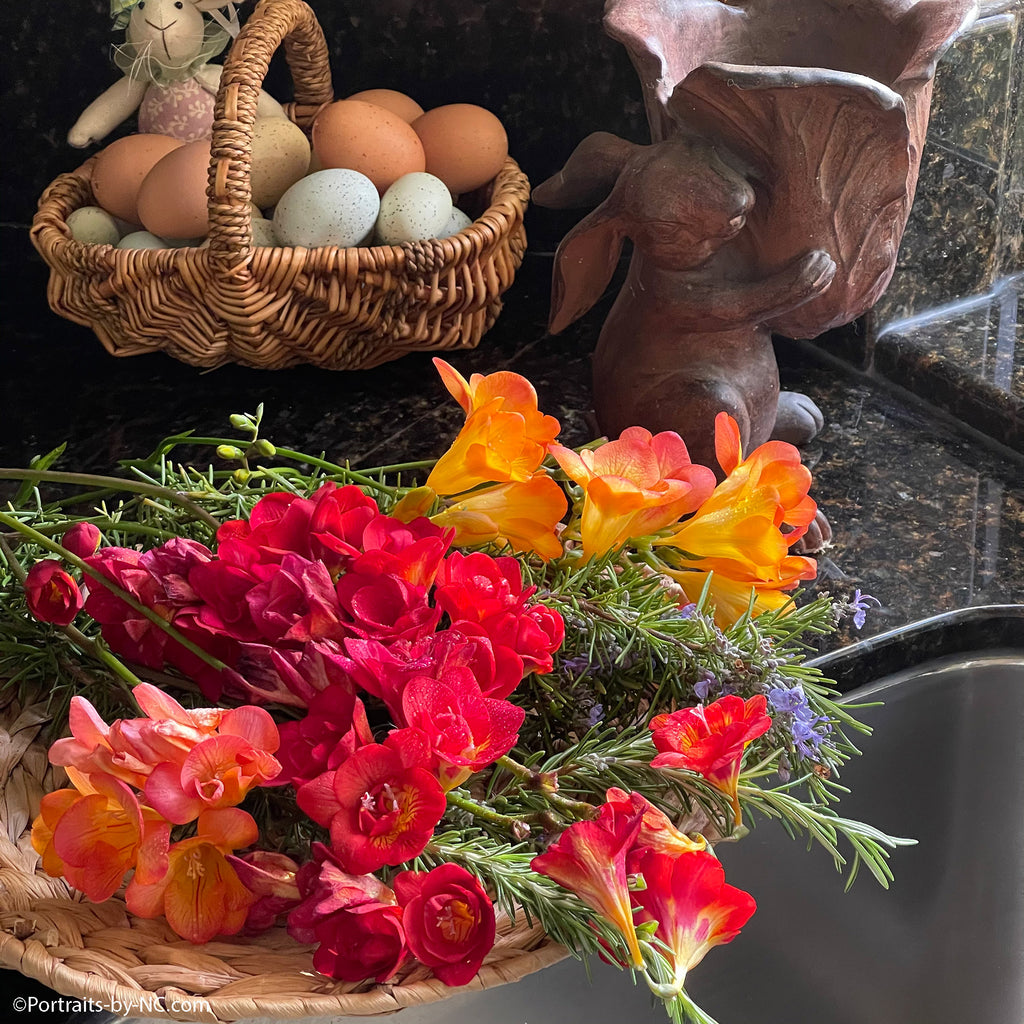 Freesia easter display