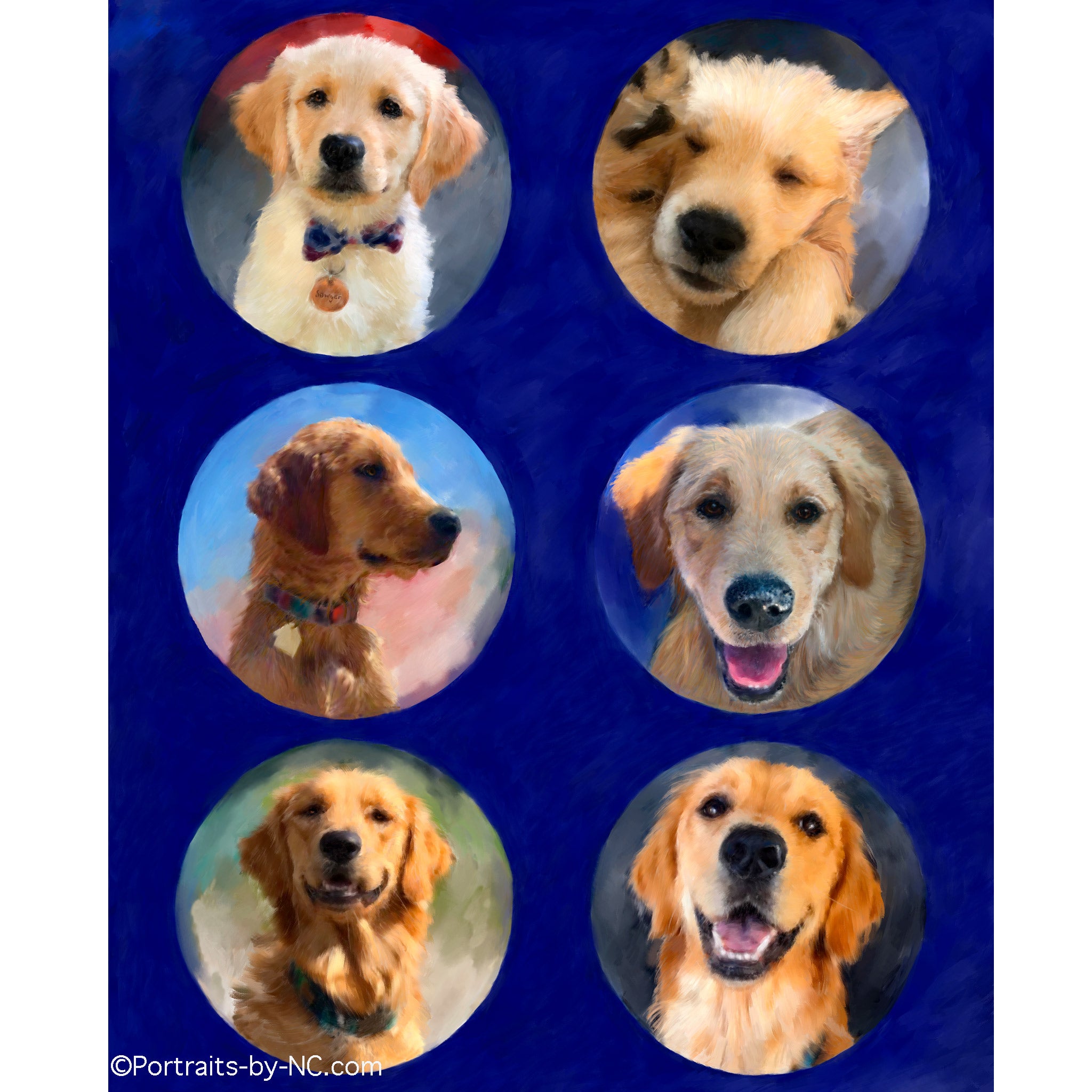 collage de golden retriever