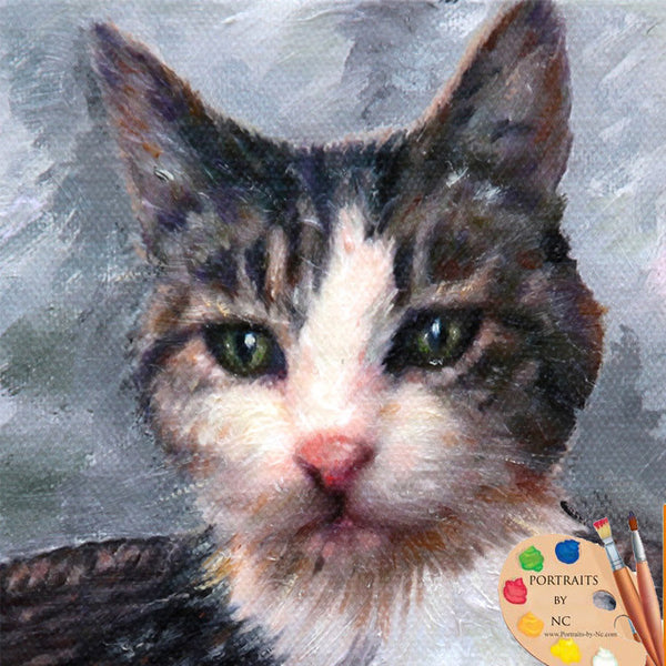 grey-cat-oil-portrait