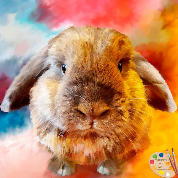 holland lop portrait 601