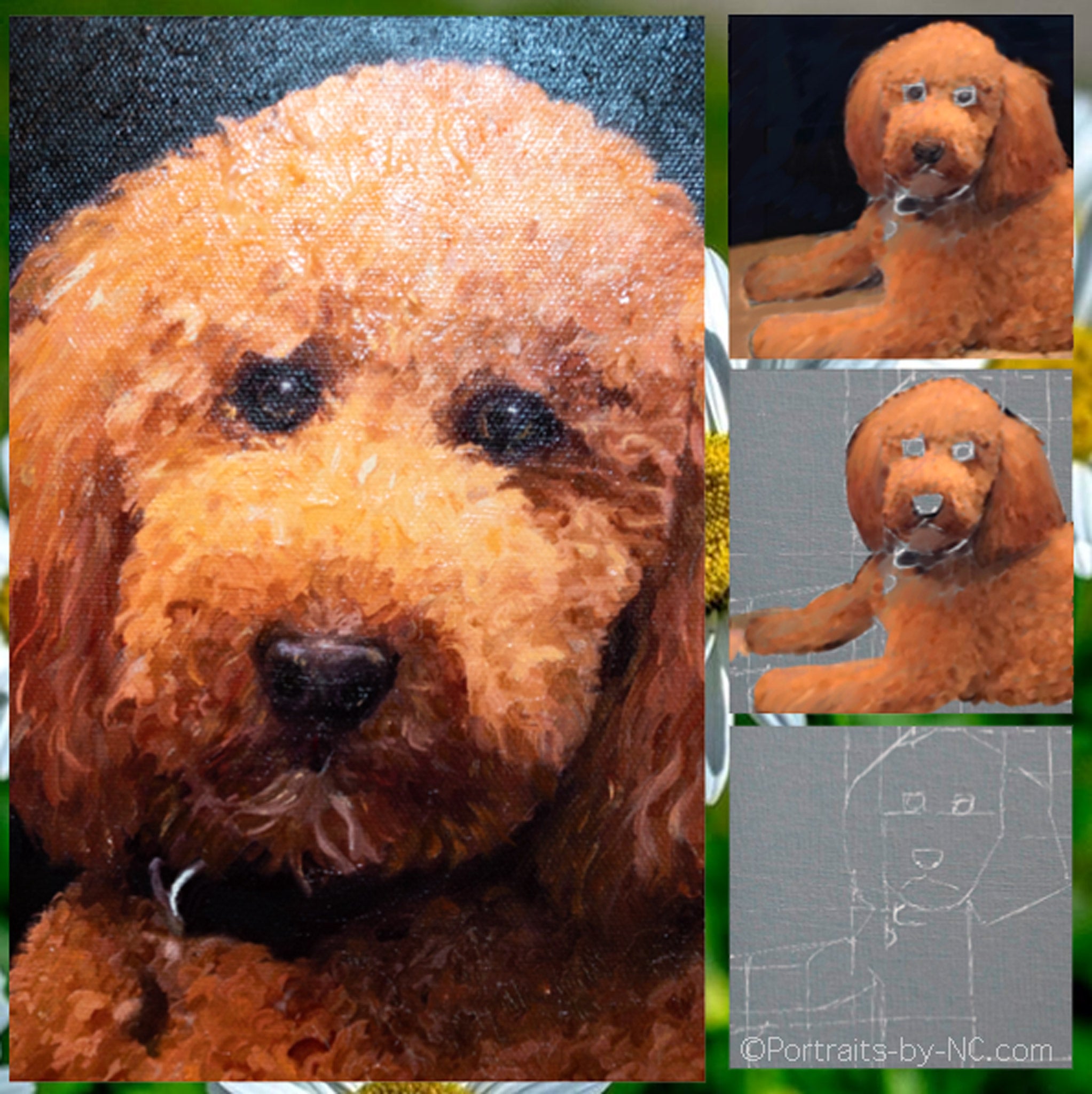 Labradoodle-Malcollage