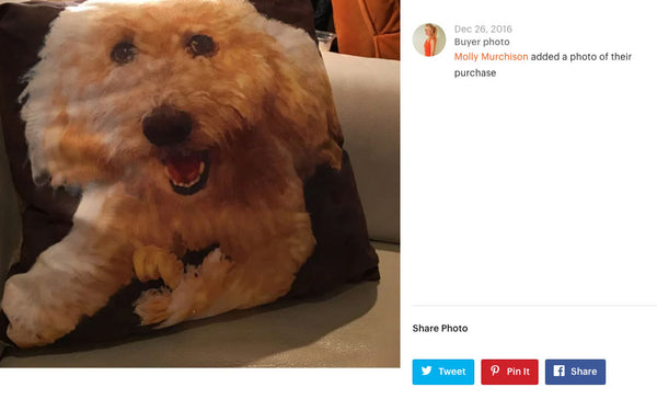 dog pillow