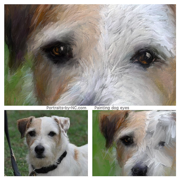 peindre des yeux de chien