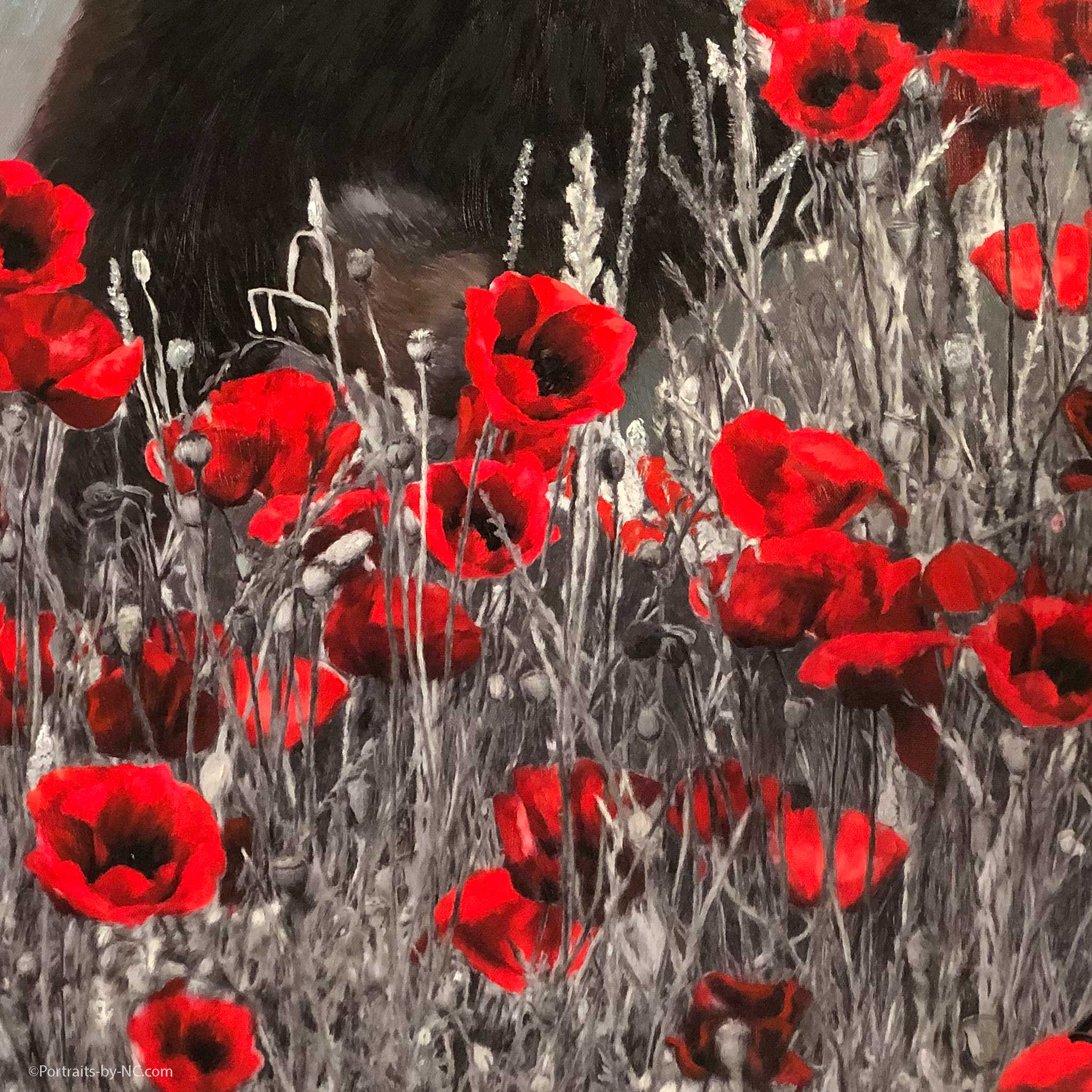 Poppy Field