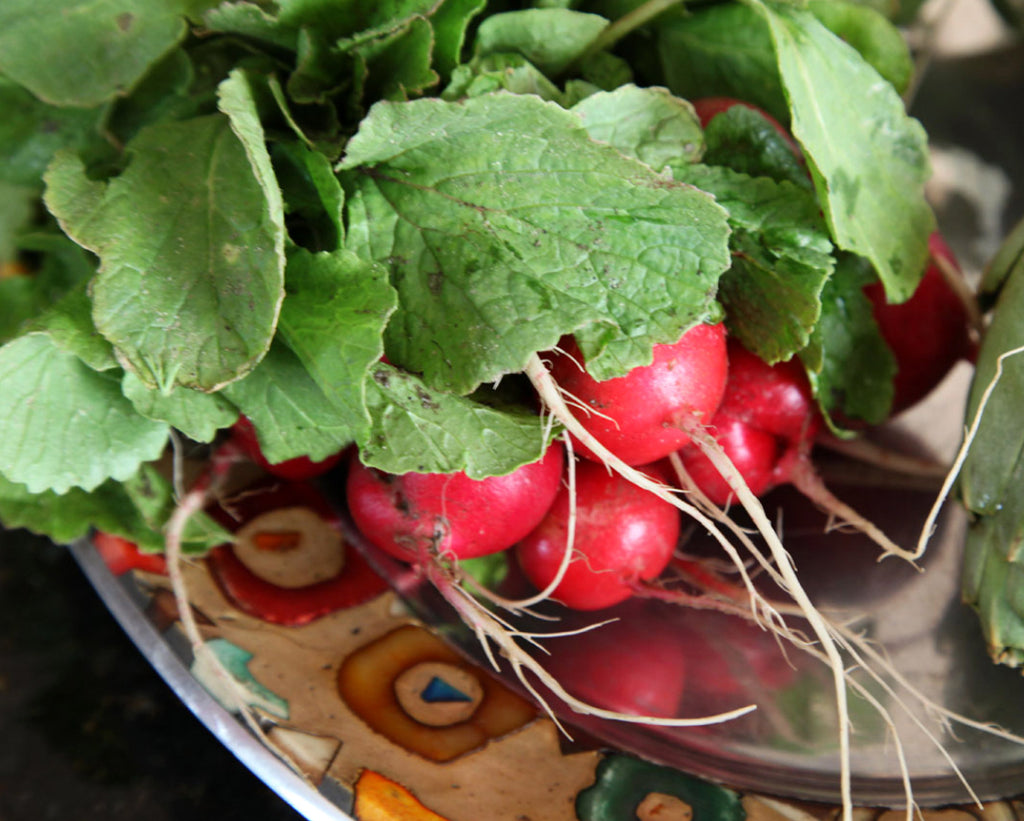 Red Radishes