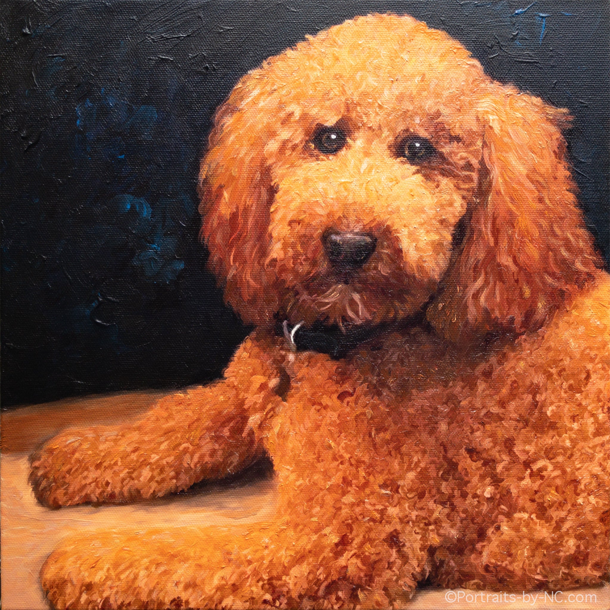 standard poodle dog portrait