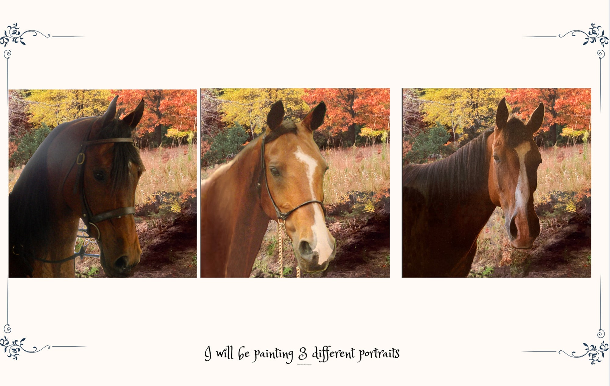 commande de portrait de trois chevaux