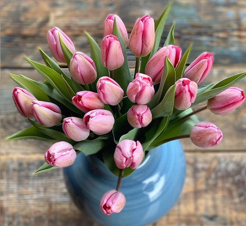 tulips in vase