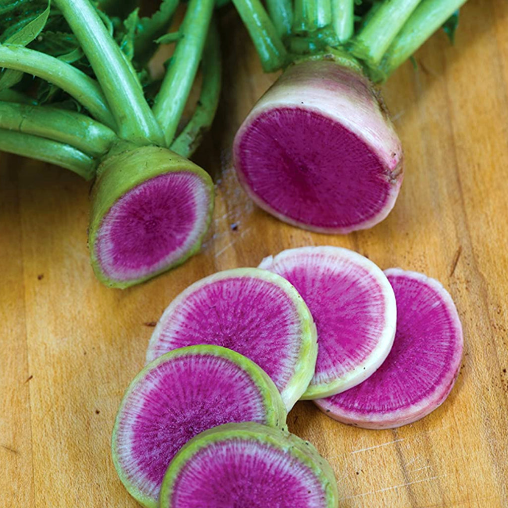 Watermelon radish