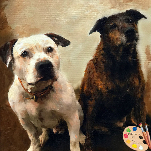 bulldog-portrait-537