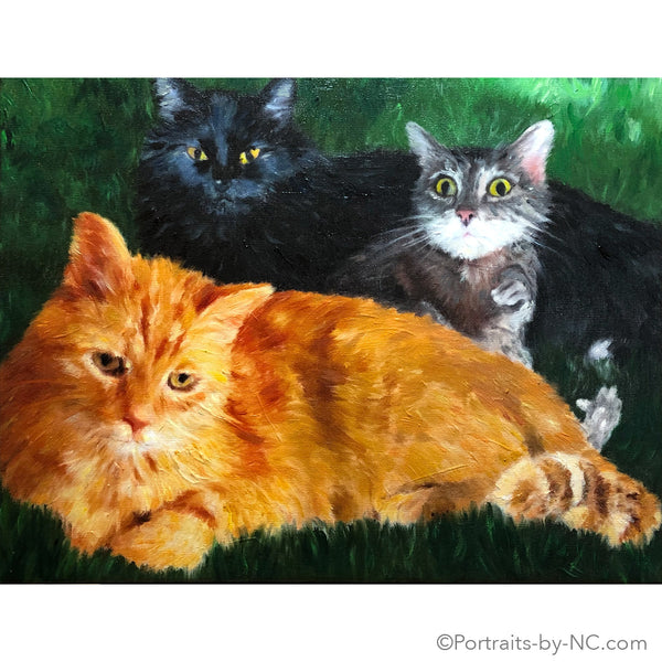 Groupe de chat Portrait 684