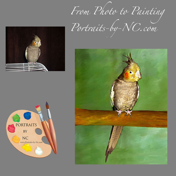 cockatiel-bird-portrait-from-photo-534