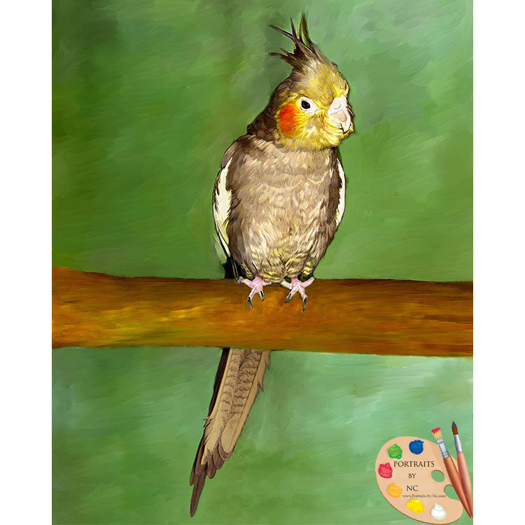 cockatiel-painting-534