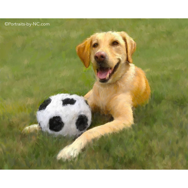 Golden Retriever Dog Portrait