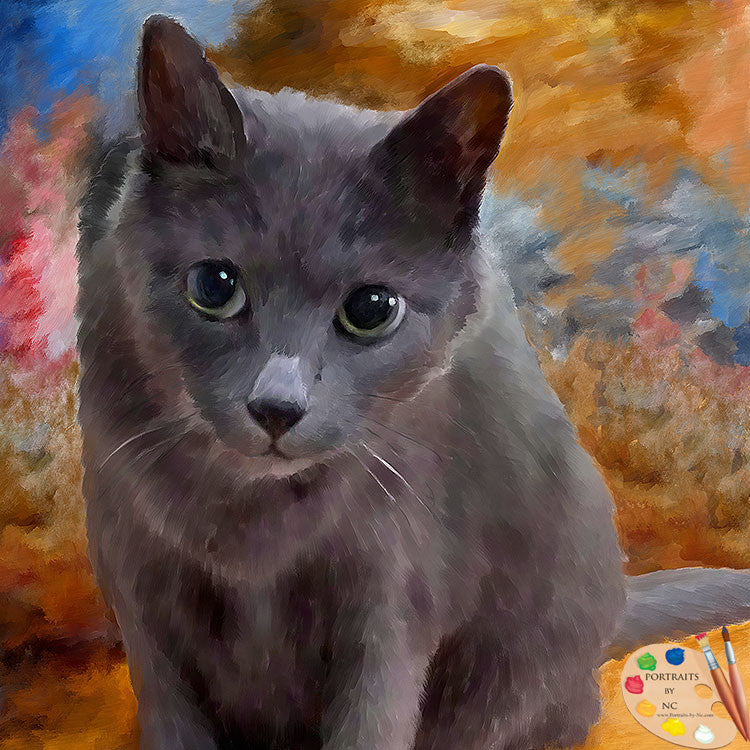 Grey Cat Portrait from Photo 541 – Portraits by NC