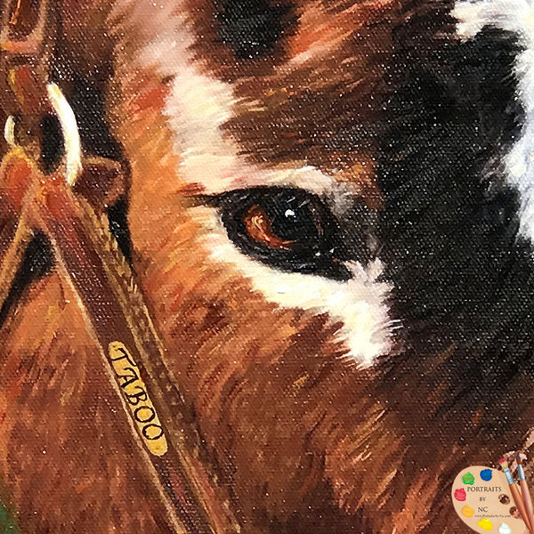 horse eye detail