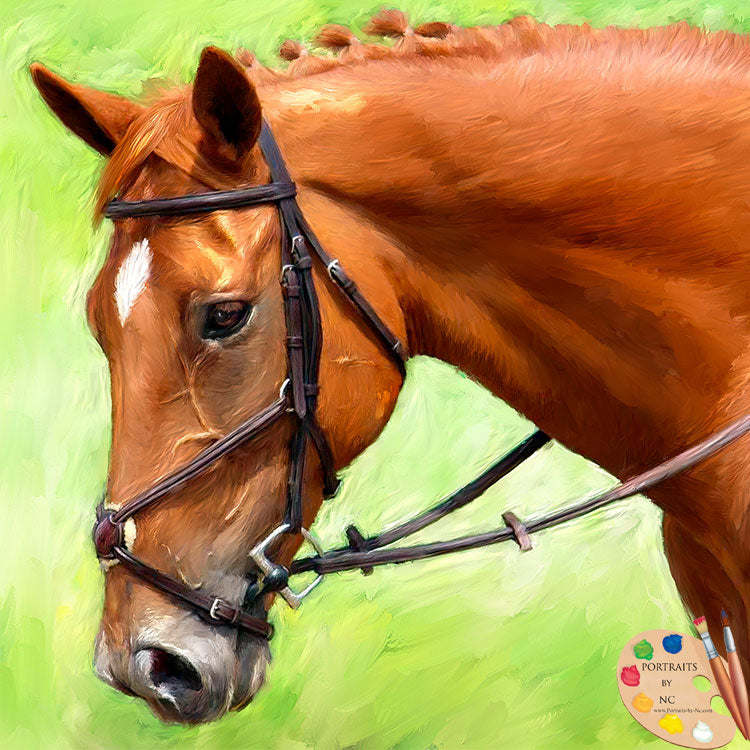Porträt eines braunen Pferdes