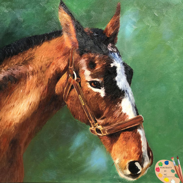 Horse Oil Portrait