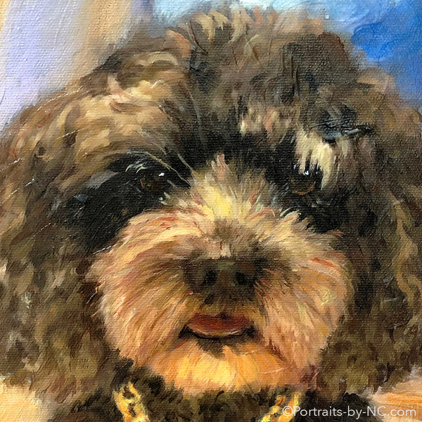 Labradoodle Portrait in Oil