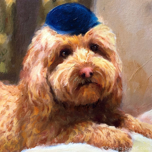 Golden Doodle painting in oil