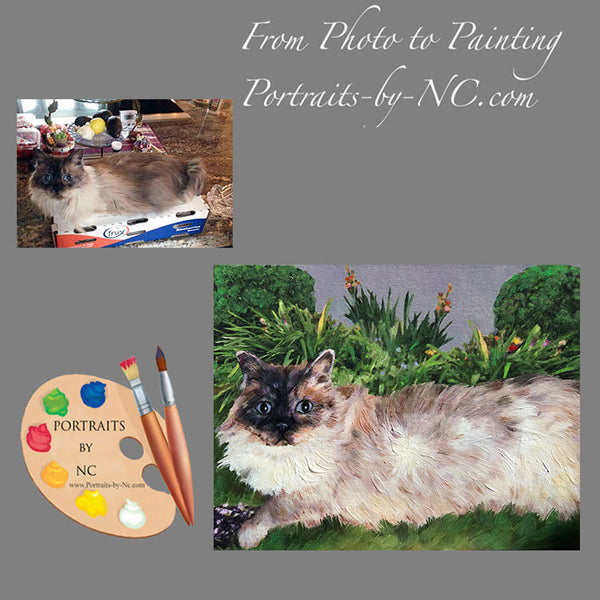 himalayan cat portrait from photo