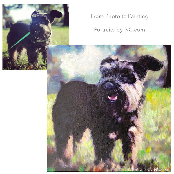 Schnauzer Oil Painting from Photo