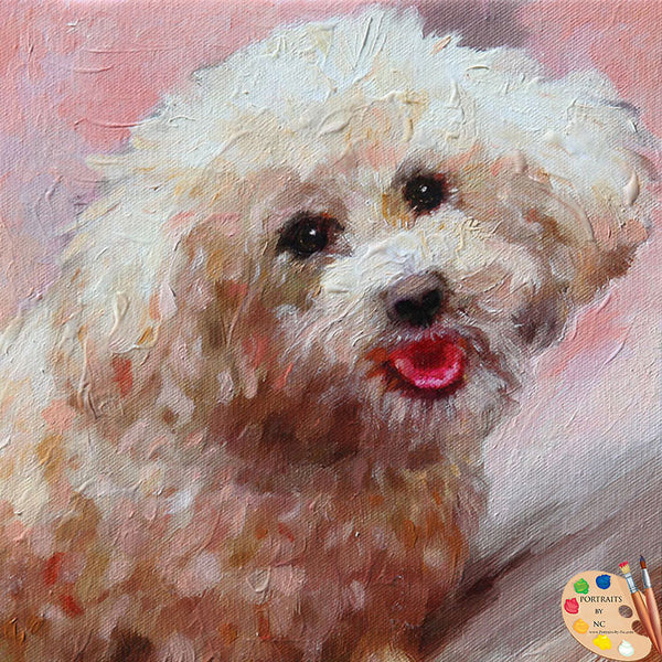 schnoodle pet portrait