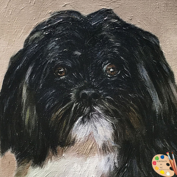 Shih-tzu-huile-portrait