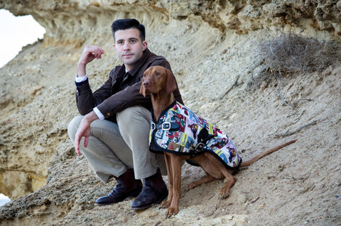 Sassy the Vizsla - Dog Jacket - Rome Blazer - Luxury Dog Coat - Dog Blazer - Owen & Edwin - Australian Made