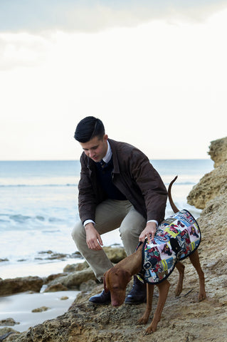 Sassy the Vizsla - Rome Blazer - Dog Coat - Dog Jacket - Owen & Edwin - Luxury Dog - Australian Made