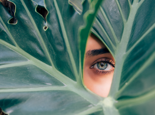 About Green Beauty - The New Trend For Healthy Skin and Natural Beauty